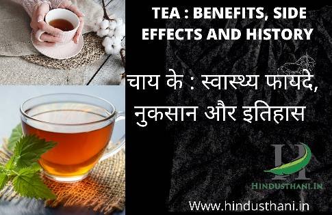 चाय के फायदे और नुकसान